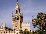 Carcaixent entrega els premis del Concurs de Monlegs i organitza un viatge a Sevilla