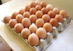 La Policía detiene en Alzira y Algemesí a dos hombres por sustraer unos 10.000 huevos de una granja