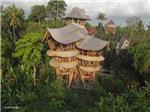 La casa de bambú en el árbol