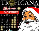 Un ao ms disfruta las mejores Navidades en Tropicana Alginet