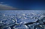 Los cientficos prevn que dentro de unas dcadas el Polo Norte quede libre de hielo