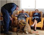 La Residencia 'Carmen Pic' del IVAS de Alzira participa en un proyecto de terapia canina