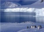 Una joven de Alginet en la Antártida