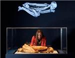 Escneres de ltima generacin para momias del Antiguo Egipto