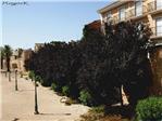 El Ayuntamiento de Alzira incumple el Plan Especial de Protección de la Vila en el ‘Parque de las Murallas’