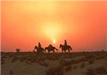 ‘Centauros del desierto’, historia de una obsesión