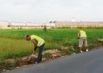 Benifai contratar este verano a 59 vecinos desempleados agrarios para obras de mejoras rurales