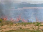 Arden en Alzira 8 hectáreas de descampado junto al Hospital de la Ribera