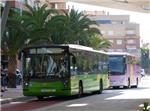El bono de 20 viajes del autobús urbano en Alzira pasará a valer 3 euros para los jóvenes hasta 30 años