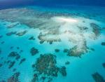 La Gran Barrera de Coral, paraso natural