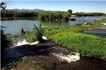 El Gobierno certifica que la calidad del agua del azud de la Marquesa de Cullera es 