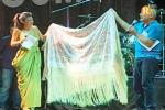 300 mantons de Manila ompliren de colorit Alginet