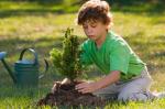 250 escolares reforestan mañana un paraje de Turís con motivo del Día del Árbol