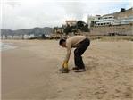 Aparece una tortuga boba muerta en la playa de Cullera