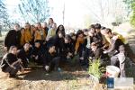 Escolares de Carlet celebran el Día del Árbol