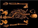 Caso cerrado: el esqueleto del aparcamiento es de Ricardo III