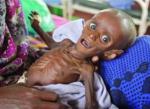 Unas 258.000 personas murieron de hambre en la sequa somal de 2011 y 2012