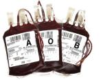 Benifai pone en marcha una campaa informativa para fomentar la donacin de sangre entre jvenes