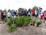 Benifaió celebra el Día Mundial del Medio Ambiente con la plantación de 40 pinos