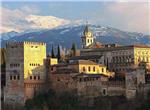Granada: mil aos de ciencia
