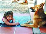 Una perra le salv la vida a una nia de 4 aos
