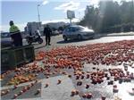 El vuelco de un remolque cargado de naranjas causa retenciones en la rotonda del hospital de Alzira