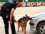 La polica de Alberic usa su unidad canina contra el consumo de drogas en la escuela