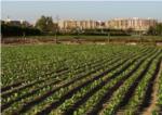 Agricultura i Economia coordinen les borses d'ocupació per a garantir la mà d'obra en el camp valencià