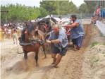 Alberic celebra el Concurs de Tir i Arrossegament en les seues Festes Sant Joan i Sant Pere