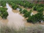 AVA-ASAJA estima que la gota freda provoca més de 100 milions de pèrdues en els cultius de la Comunitat Valenciana