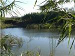 Benimodo prevé limpiar la laguna del paraje ‘Ullals del riu Verd’