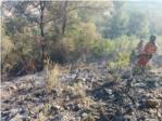 CSIF avisa de un verano muy duro en incendios