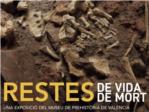 Cullera acull una exposició sobre la mort en la prehistòria