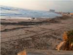 Cullera esclata contra la CHJ després de tornar-se a omplir la platja del Marenyet de canyes