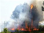 Desde hoy quedan prohibidas las quemas agrcolas a menos de 500 metros de terreno forestal