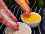 El arroz dorado, ¿una alternativa contra la malnutrición?