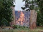 El camp de Carcaixent en contra de la llei que prohibeix cremar les restes de la poda