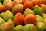 El IVA de los supermercados y los tomates de El Perell