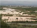 El temporal de vent i pluja afecta a 140.000 hectàrees de cultiu, deixant centenars de milions d'euros en pèrdues