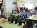 Els alumnes de Sueca participen en el programa ambiental 'Arbres a l'Aula' impulsat pel Consistori
