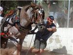 Els cavalls tornen a Alberic al Concurs Federat de Tir i Arrossegament 2015