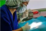 En la Clínica Veterinària Quatre Potes a Sueca estem en campanya d’esterilitzacions