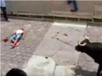 Escalofriante cogida de un toro que dejó inconsciente y tirado en la calle a un joven (Vídeo)