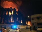Espectacular incendio de un palmeral en Carcaixent