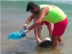 Hallan un perro decapitado en la playa del Dosel de Cullera