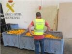 Investigadas cinco personas por la sustracción de más de 33.000 kilos de naranjas