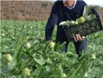 La Conselleria d'Agricultura preveu publicar ajudes pel COVID-19 sense consultar al sector