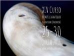 La Dispersione organizar la ltima semana de julio el XIV Curso de Msica Antigua de Guadassuar