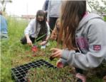 La fundació LIMNE i alumnes de Càrcer planten vida a la vora del riu Sellent