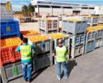La Guardia Civil detiene a 14 personas e  investiga a 144 por la sustraccin de 350.000 kilos de naranjas en la Ribera